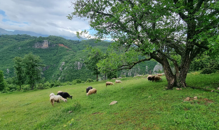 Following the Footsteps of Faith: A Journey Through Albania’s Sacred Sites